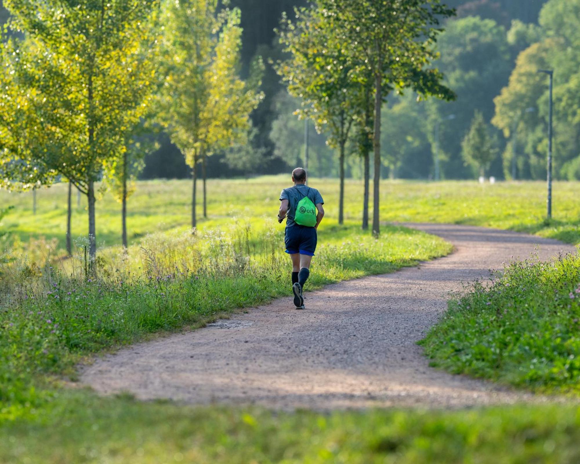 Jugendherberge Freiburg Екстериор снимка